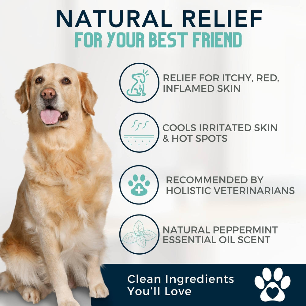 4Legger peppermint tea tree infused shampoo highlights cooling aroma and soothing feel.