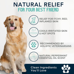 4Legger peppermint tea tree infused shampoo highlights cooling aroma and soothing feel.