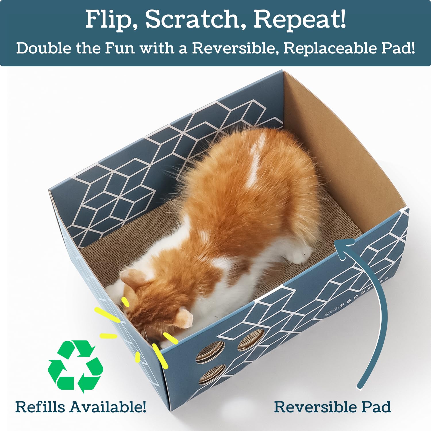 5609PETS cardboard cat scratcher box blue pattern adds stylish decor