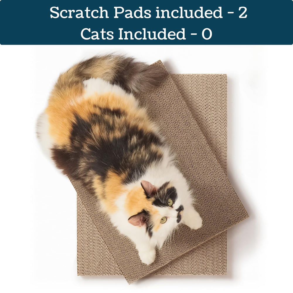 5609PETS dense-cardboard scratcher demonstrates durable, low-mess scratching for longer use.