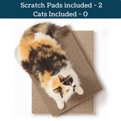 5609PETS dense-cardboard scratcher demonstrates durable, low-mess scratching for longer use.
