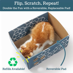 5609PETS double-sided pads exposed illustrates easy replacement and long-lasting use.