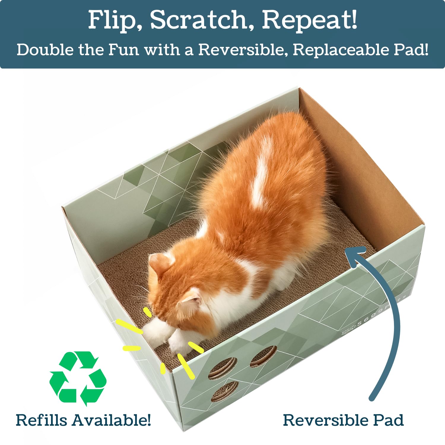 5609PETS green forest pattern scratcher box adds stylish decor and calm retreat