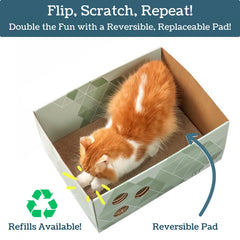 5609PETS green forest pattern scratcher box adds stylish decor and calm retreat