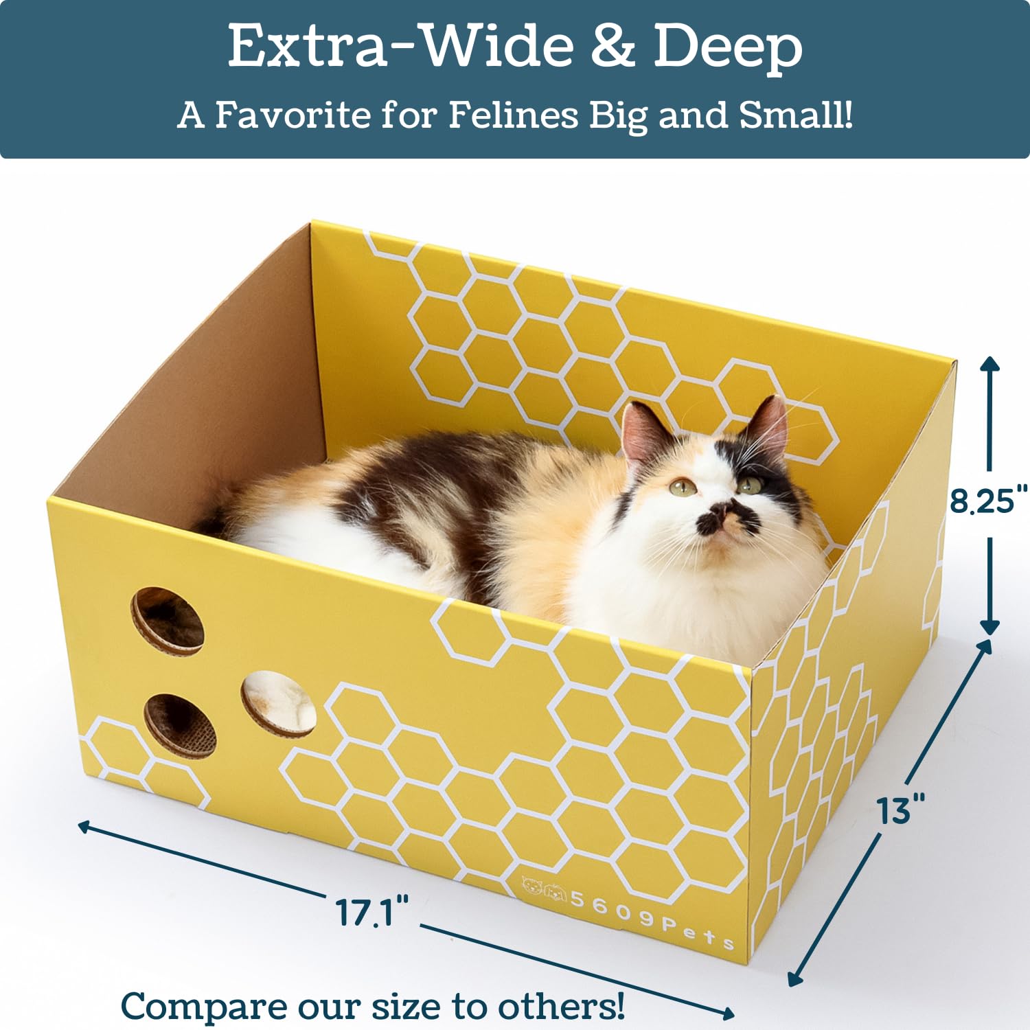 5609PETS peekaboo holes feature—cat peeks through for interactive play