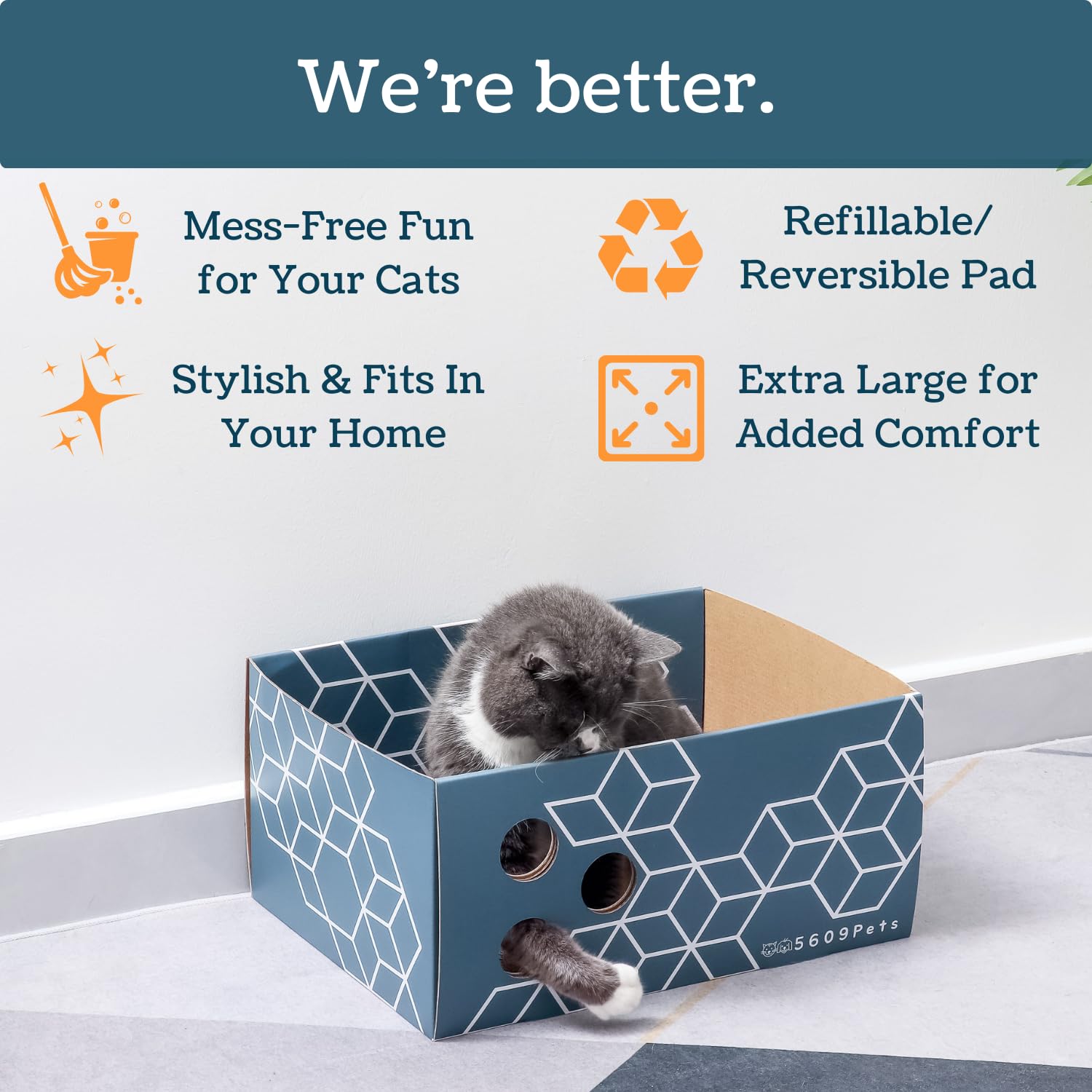 5609PETS scratch box side pattern image emphasizes stylish blue lake design.