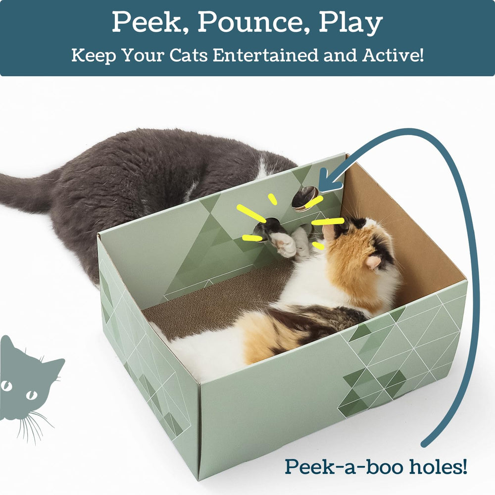 5609PETS spacious box 17-1l by 13w by 8-25h for indoor cats