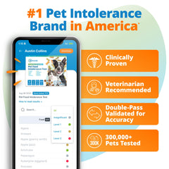 5Strands Pet Food Intolerance Test fur sample collection demonstrates easy, non-invasive sampling for accurate results.