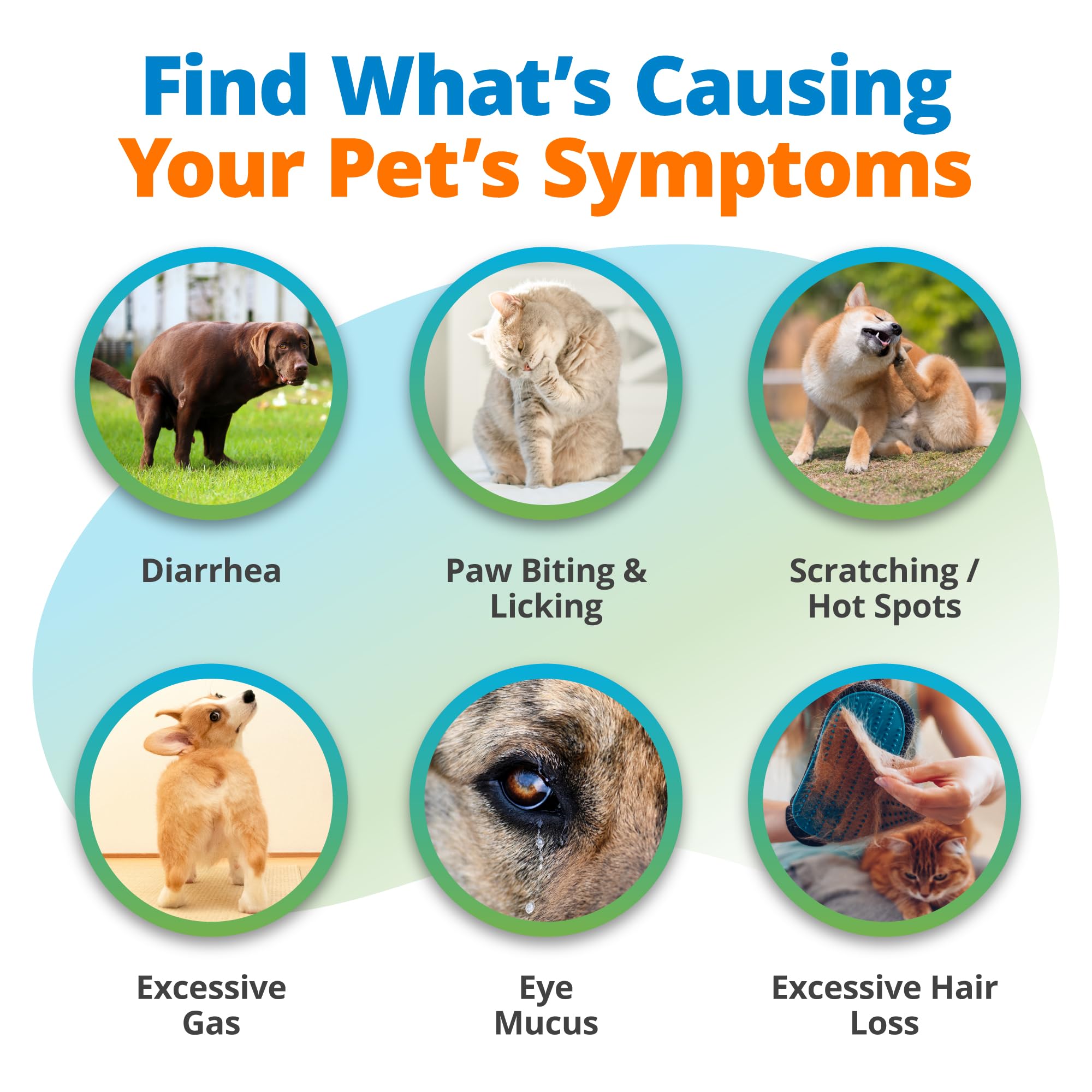 5Strands Pet Food Intolerance Test lab analysis results; clear guidance for targeted dietary changes.