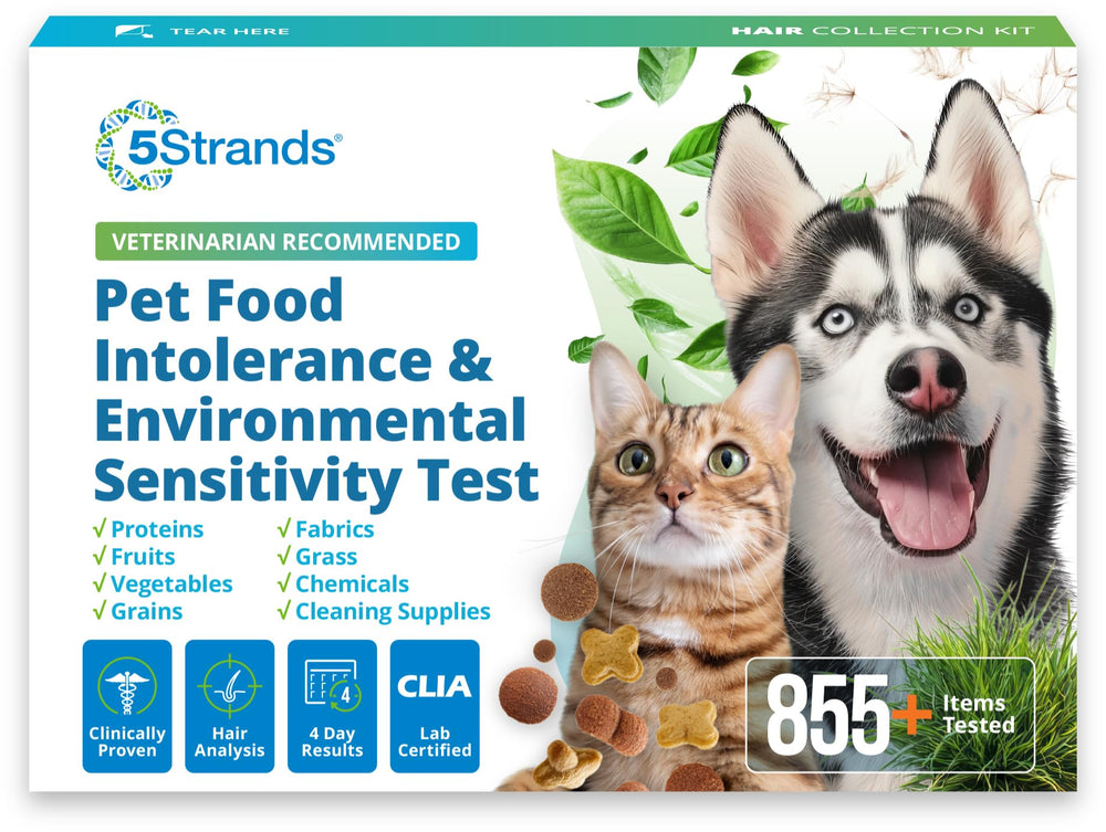 5Strands pet intolerance test kit reveals tailored diet and environment insights.