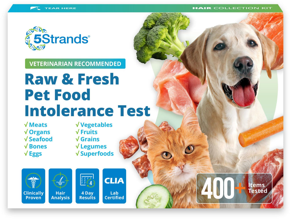 5Strands pet raw food intolerance test kit for at-home analysis and tailored pet meals.