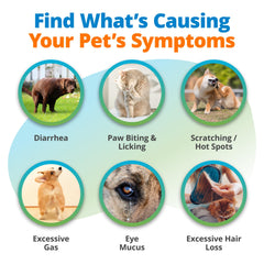 5Strands results email and app dashboard for fast, clear pet intolerance insights.