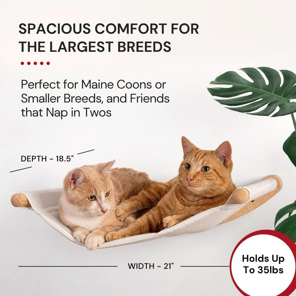 7 Ruby Road spacious cat perch suits large cats or two lounging companions.