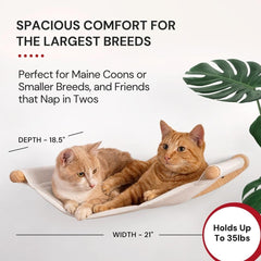 7 Ruby Road spacious cat perch suits large cats or two lounging companions.