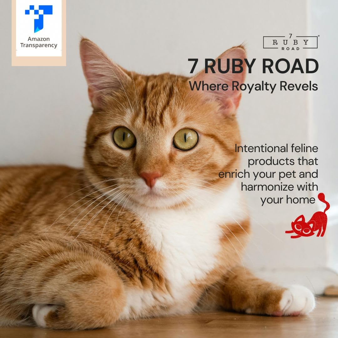 7 Ruby Road set of 2 indoor cat bowls for multi-cat households.
