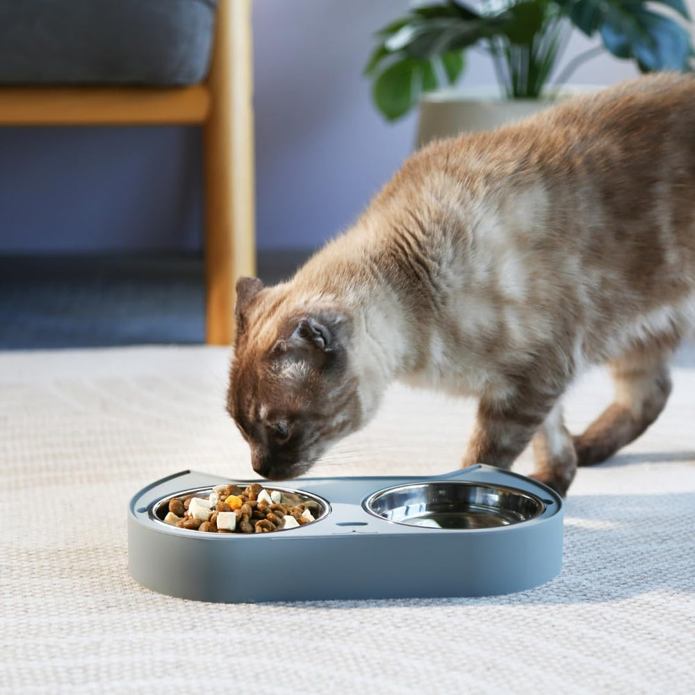 7 Ruby Road silicone base protects floors from spills during feeding.