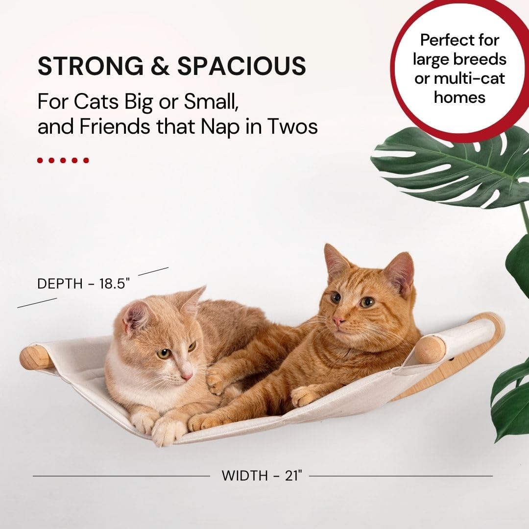 7 Ruby Road vertical cat climbing system creates elevated viewing and play opportunities.