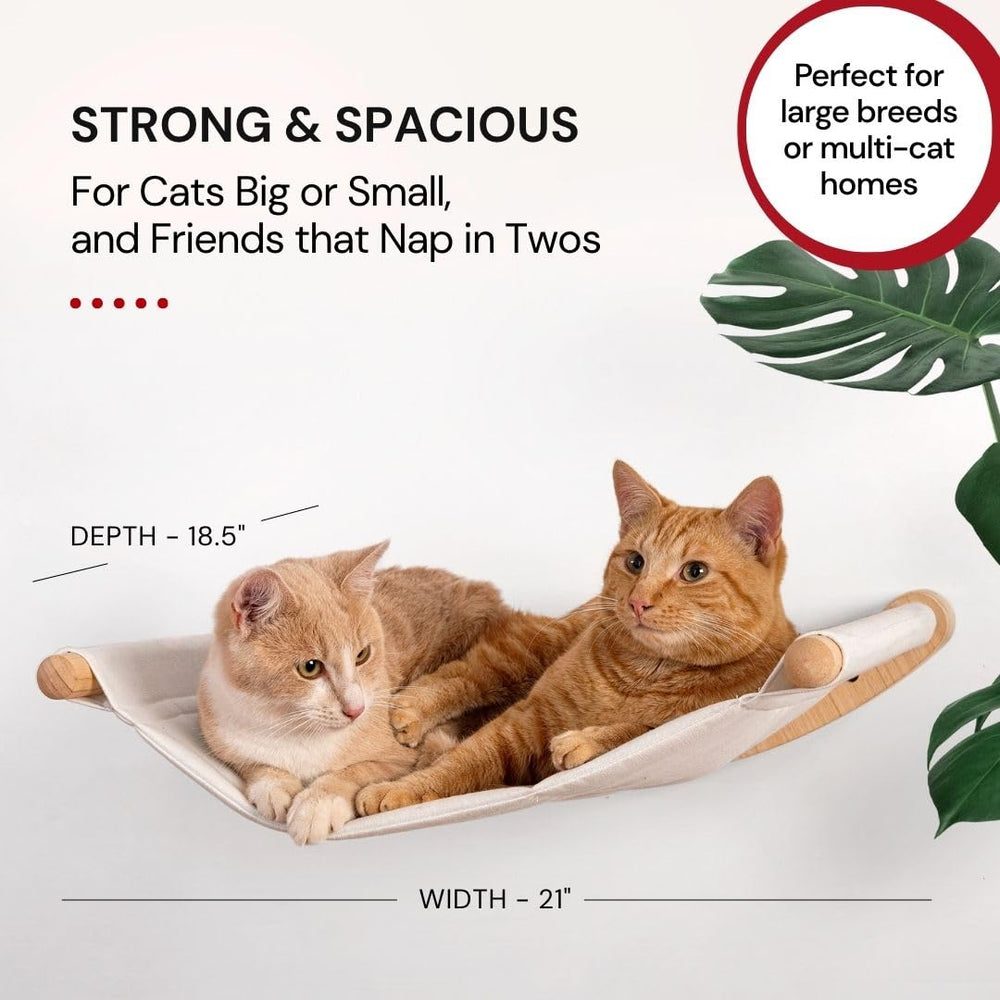 7 Ruby Road vertical cat climbing system creates elevated viewing and play opportunities.
