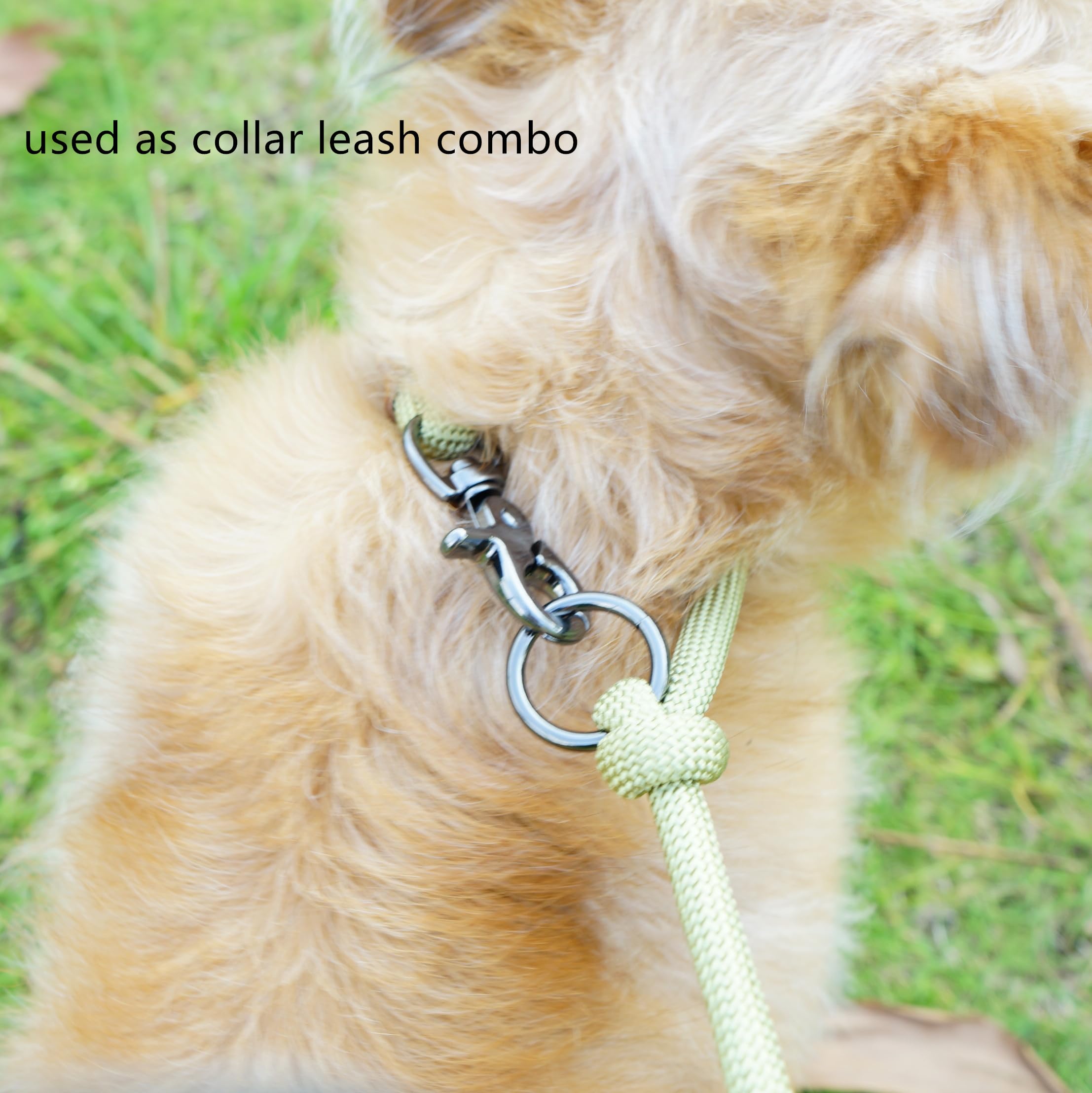8FT hands-free dog rope leash beige color option complements everyday style