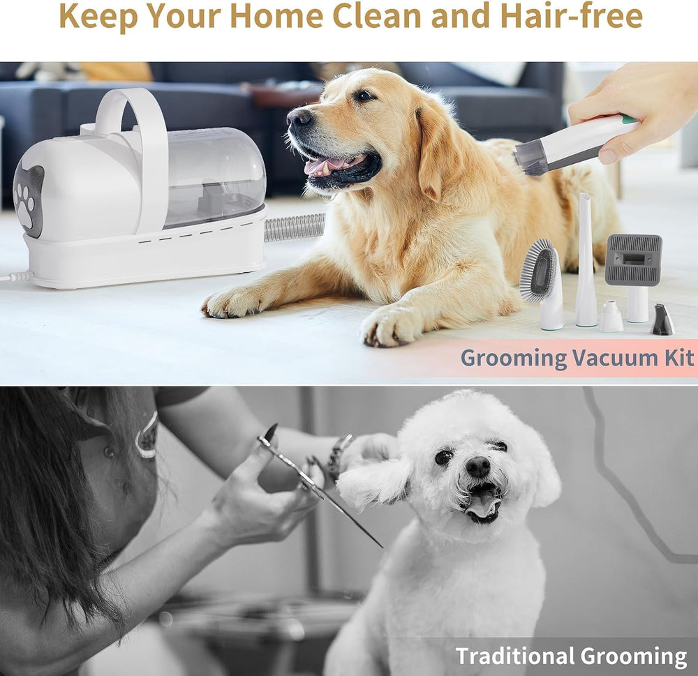 8VR Dog Grooming Kit nail grinder demonstrates integrated paw care during grooming