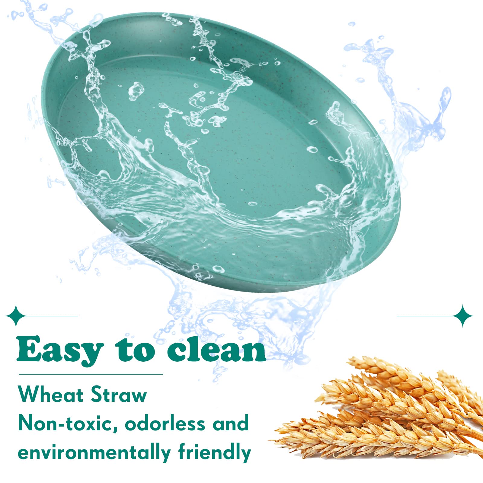 Gerrii blue 6-inch shallow cat bowls ideal for wet and dry food routines