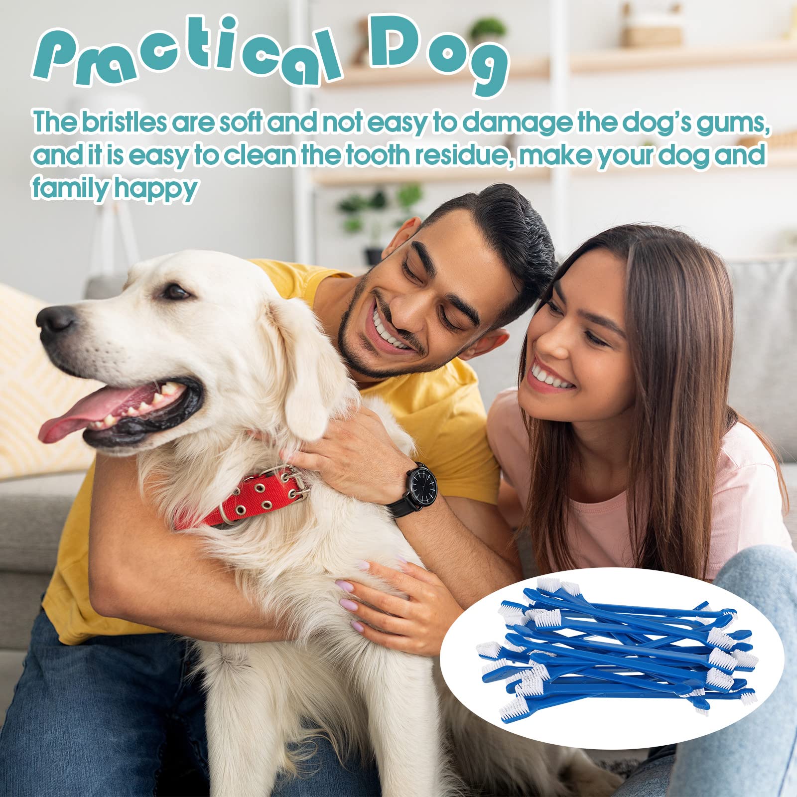 Gerrii toothbrush kit display blue for easy pet dental setup