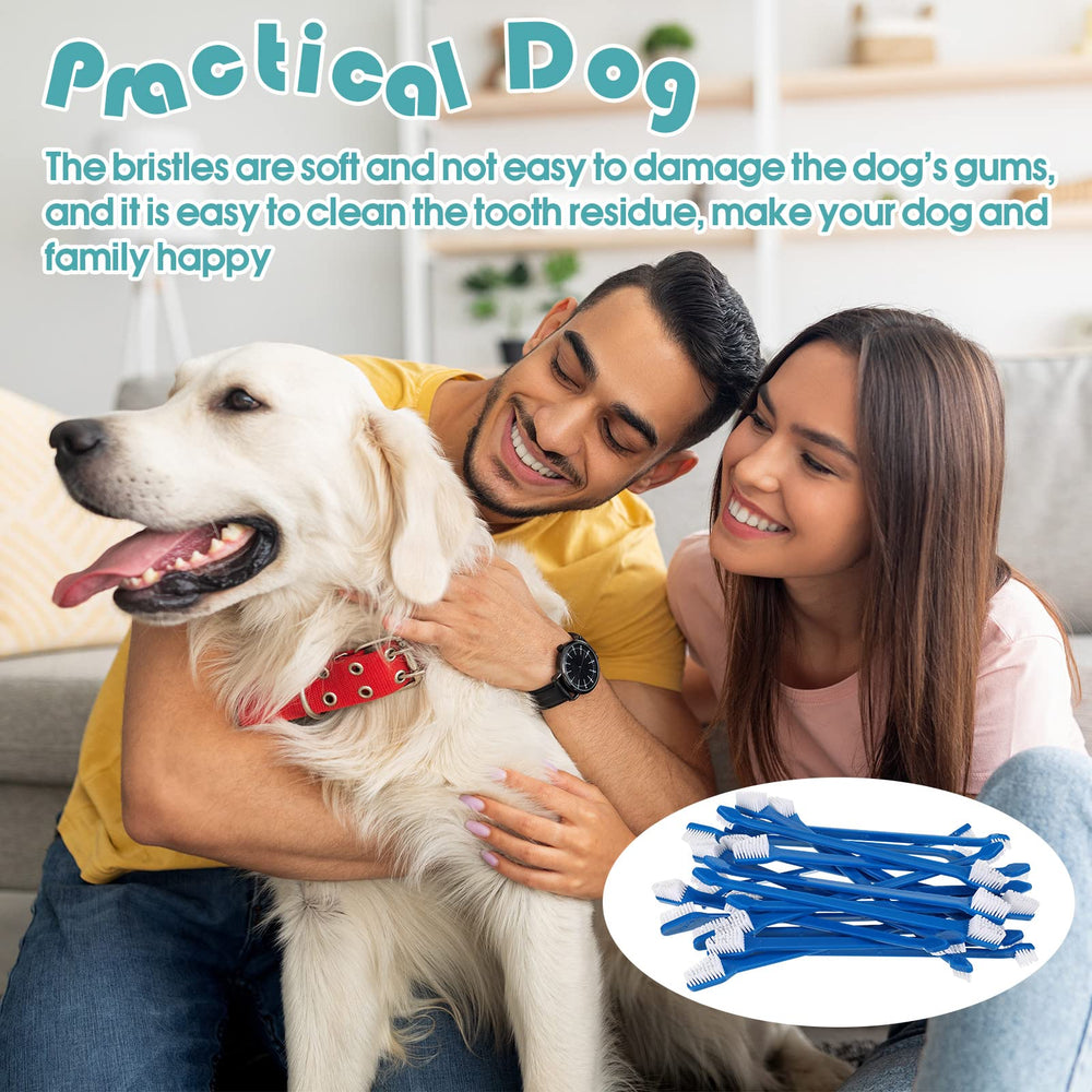 Gerrii toothbrush kit display blue for easy pet dental setup
