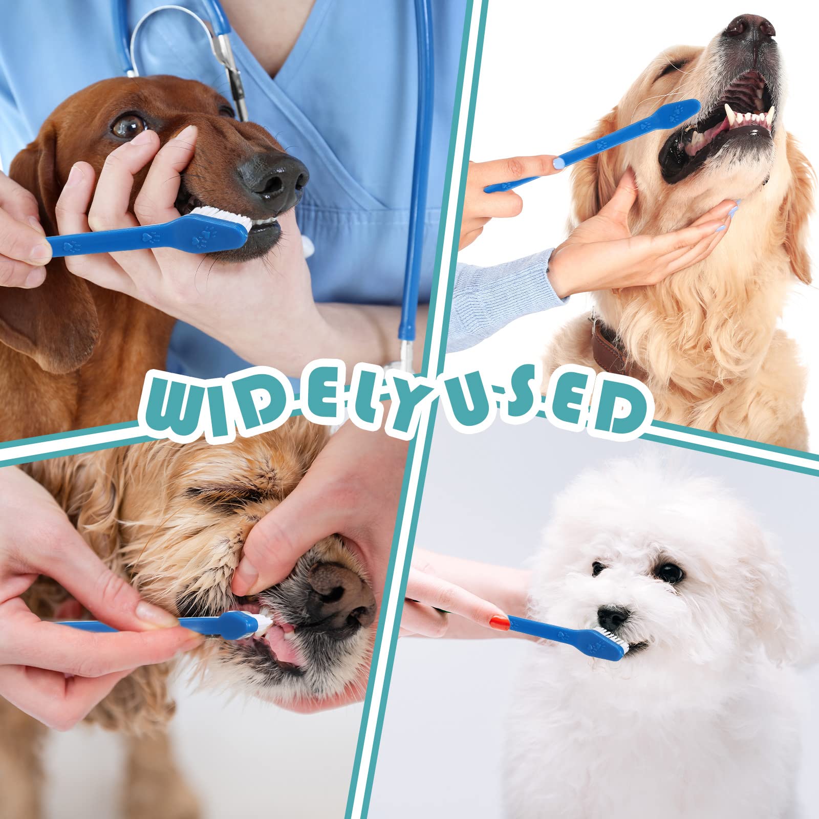 Gerrii blue dog toothbrush promoting routine pet dental care