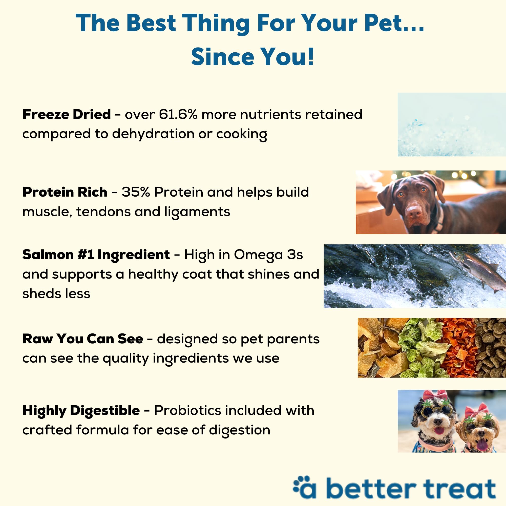 A Better Dog Food broccoli and carrots mix shows visible whole ingredients