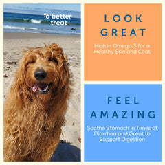 A Better Treat organic grass-fed beef liver provides premium protein for energy