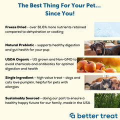 A Better Treat pumpkin treats training session — tasty bite for positive reinforcement.