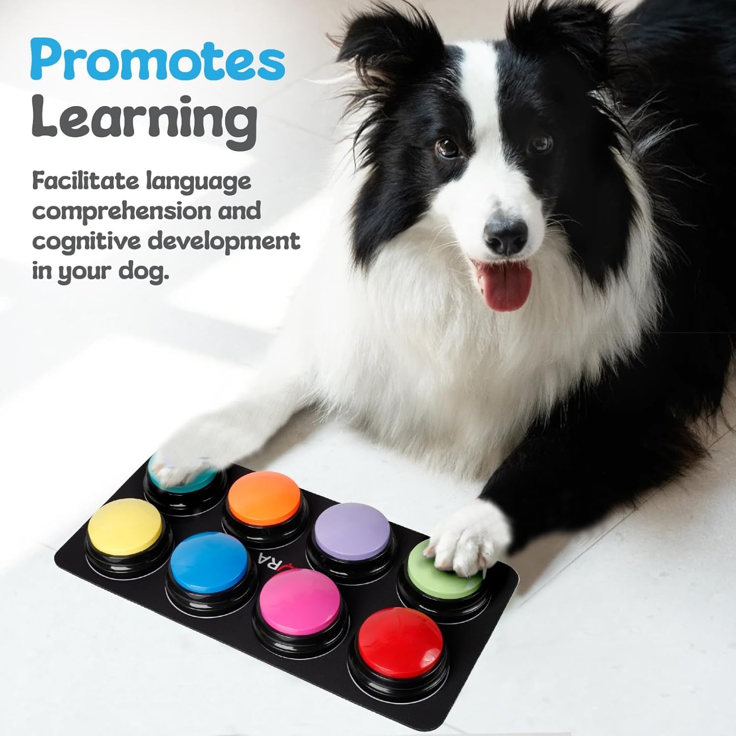 A-URA Dog Buttons stickers-pack adds motivation cues during practice.