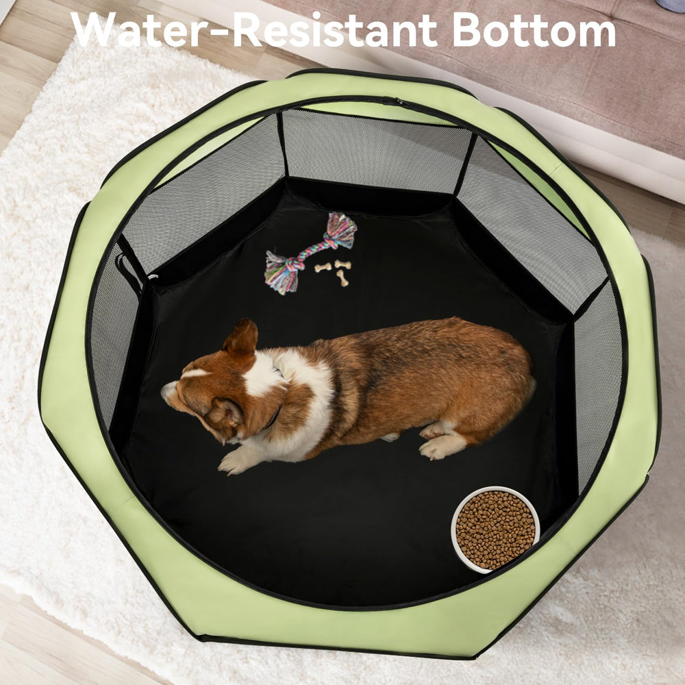 A 4 Pet travel bag and collapsible bowl accompany the pen.