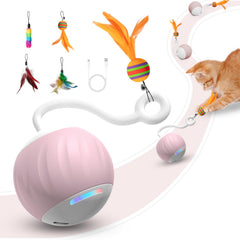 AAA AMUSANG interactive cat ball with LED lights for engaging indoor play.