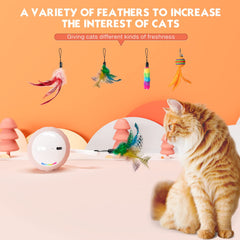AAA AMUSANG cat ball with sound activation encourages responsive play.