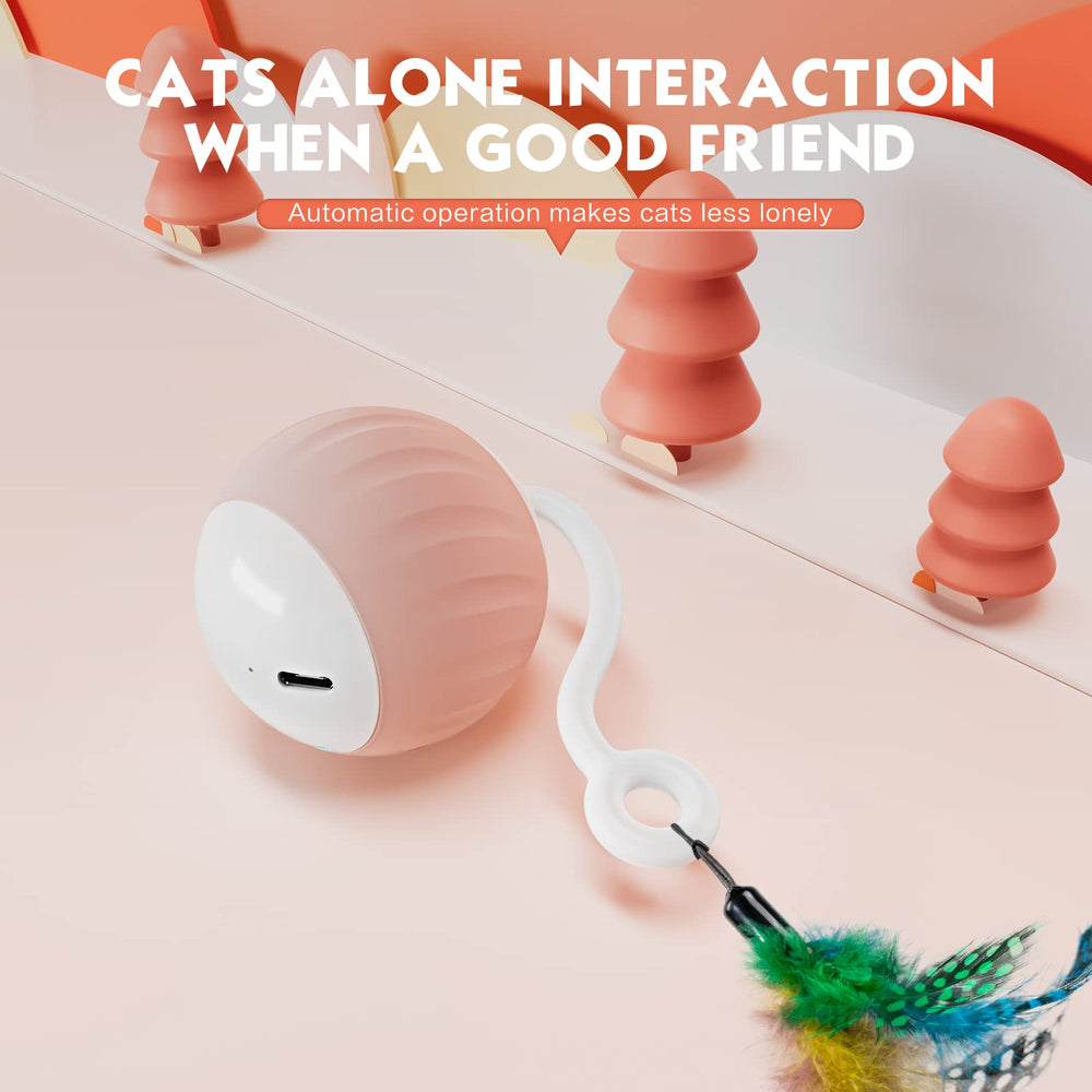 AAA AMUSANG USB-rechargeable cat ball for cordless, ready-to-play sessions.