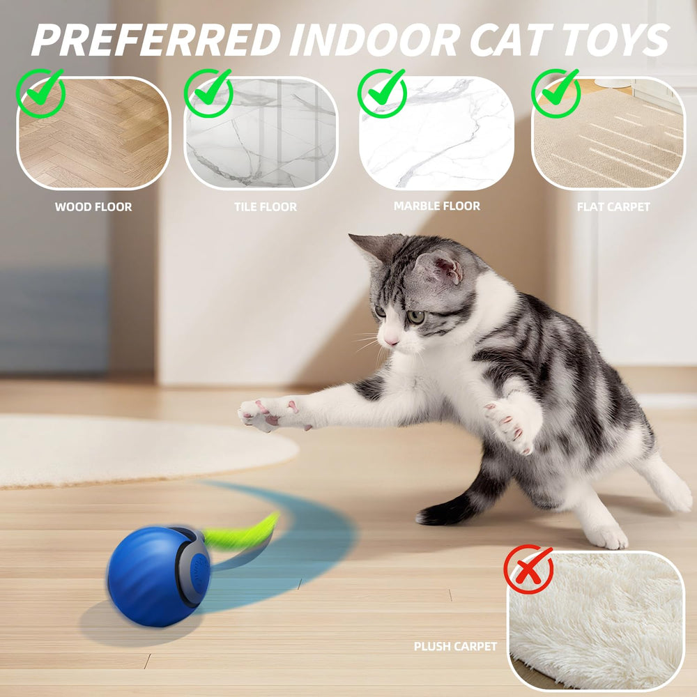 AAGILA Interactive Cat Toy Ball in-action image captures playful movement encouraging exercise.