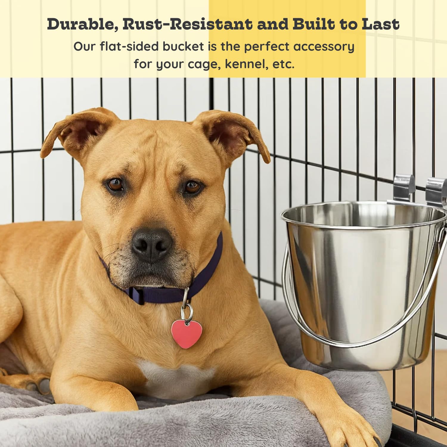 AASPIRE PETS 6qt multi-purpose feeder holds food, water, treats, or toys.