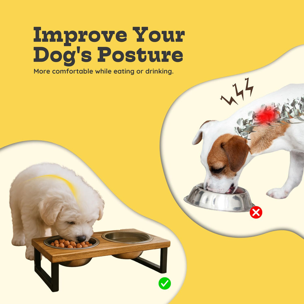 AASPIRE PETS mango wood base shown for a sturdy, durable feeding station.
