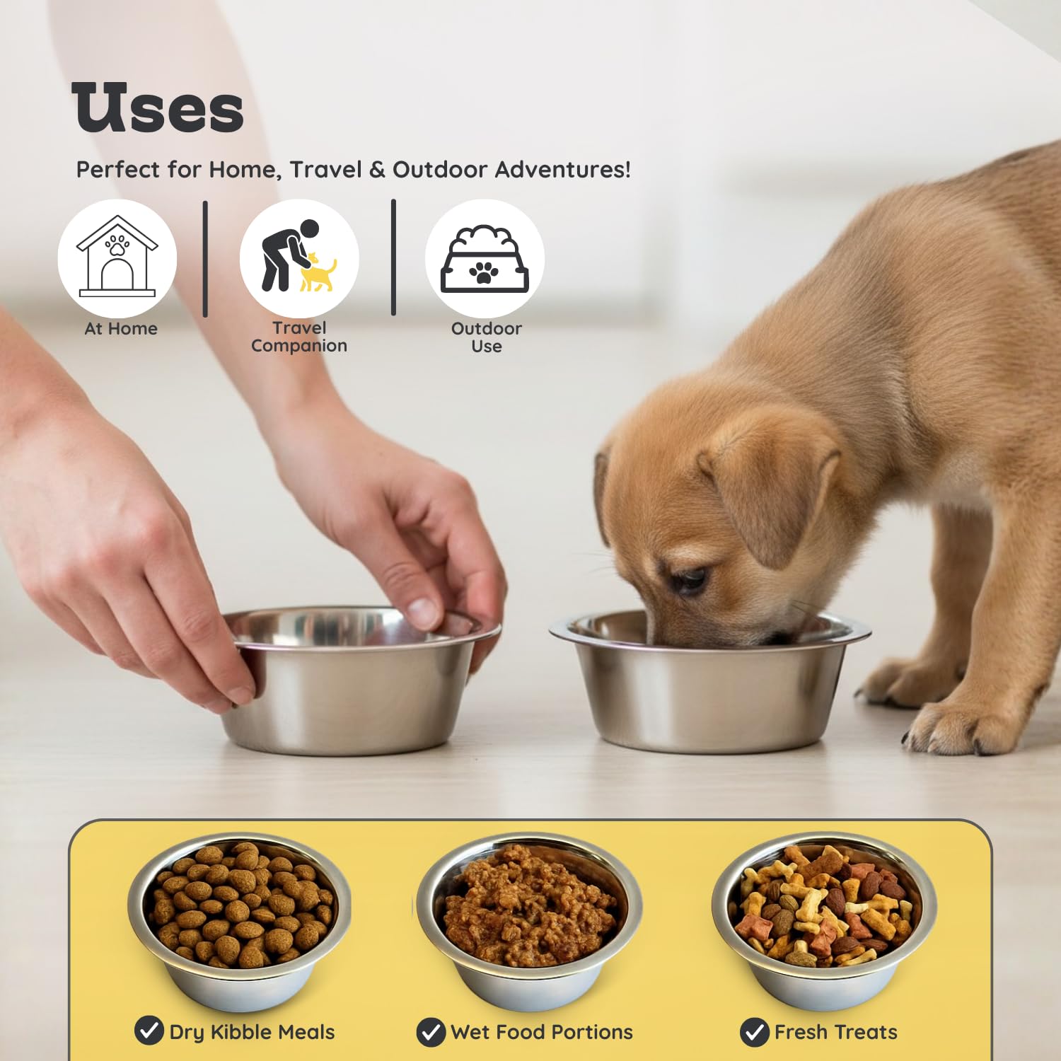 AASPIRE PETS two-bowl set on stands, convenient for food and water