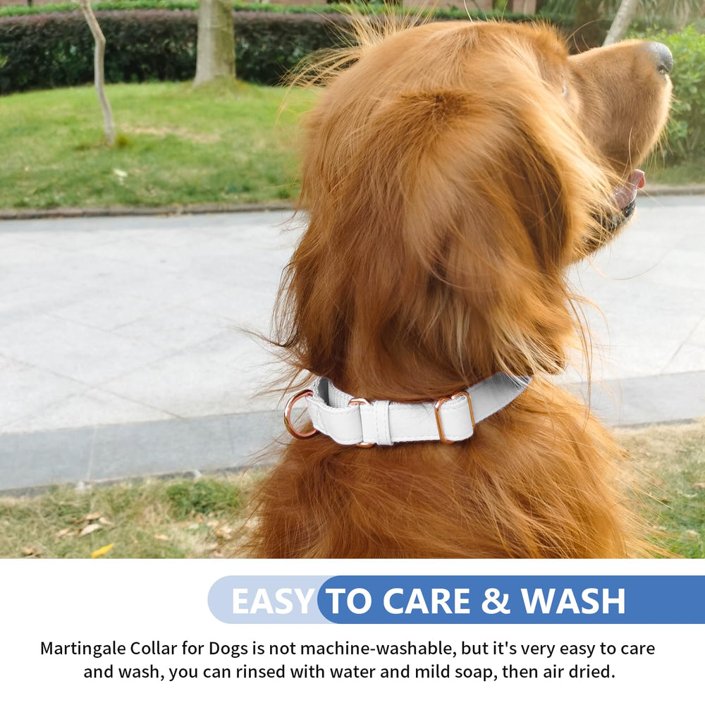 AaufiLux easy-clean microfibre leather texture resists dirt and grime.