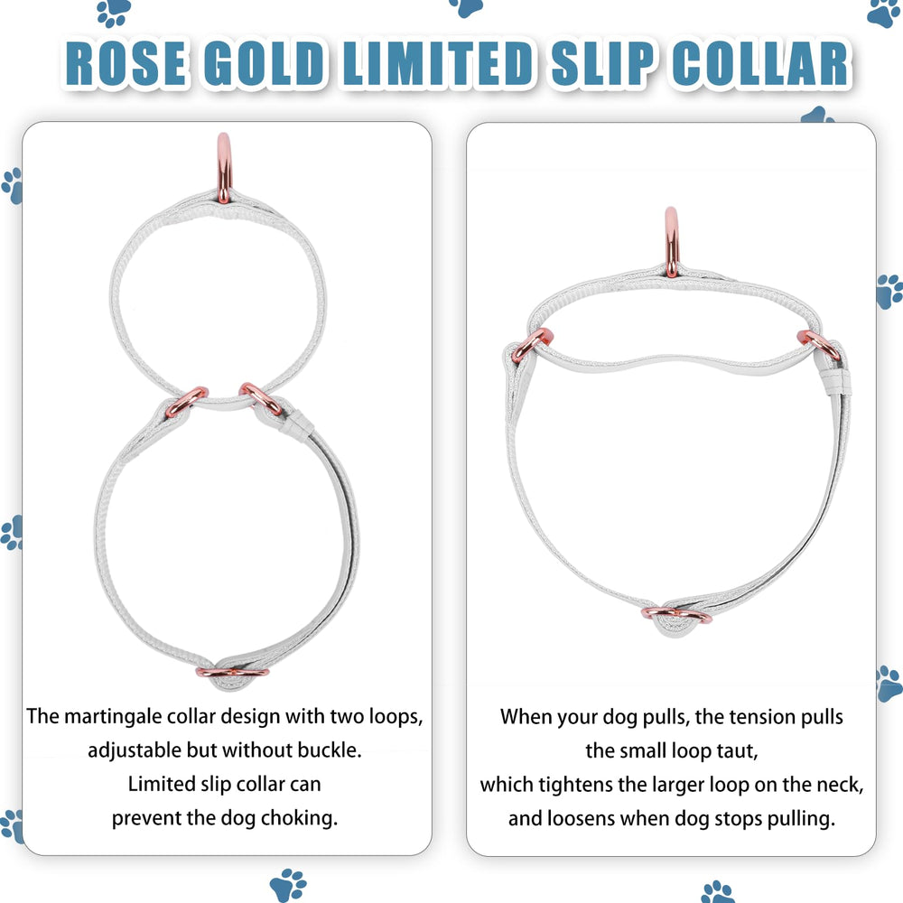 AaufiLux rose-gold D-rings on a stylish, durable leash-ready design.