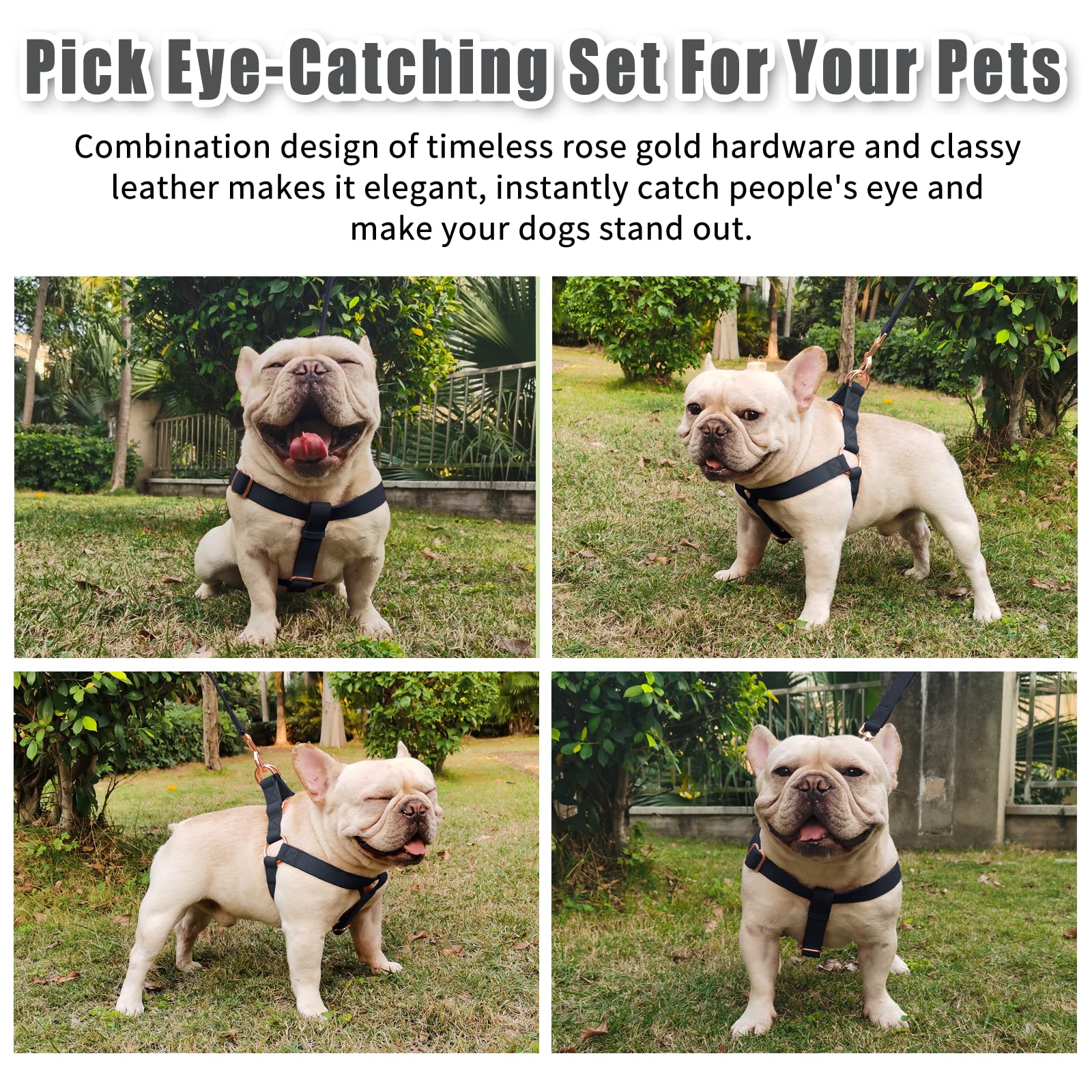 AaufiLux no-pull harness on black dog emphasizes safe, gentle control during walks.