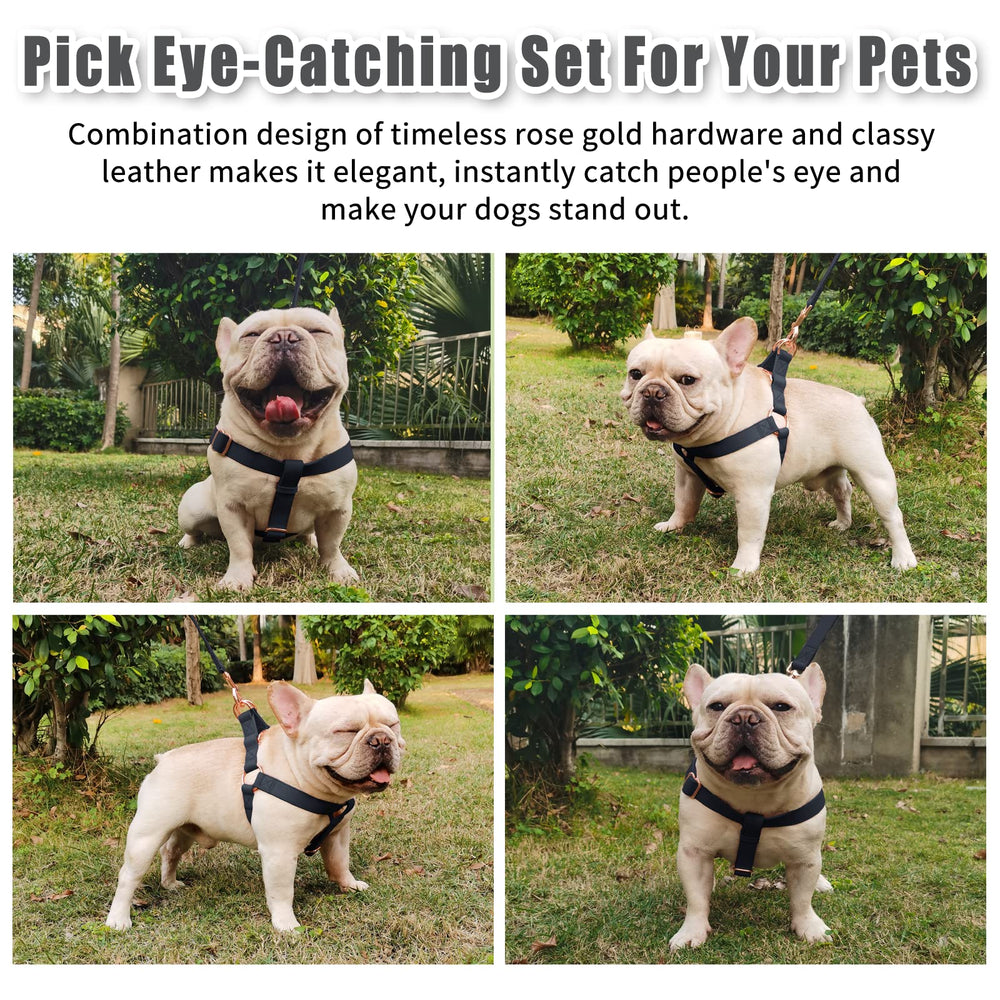 AaufiLux no-pull harness on black dog emphasizes safe, gentle control during walks.