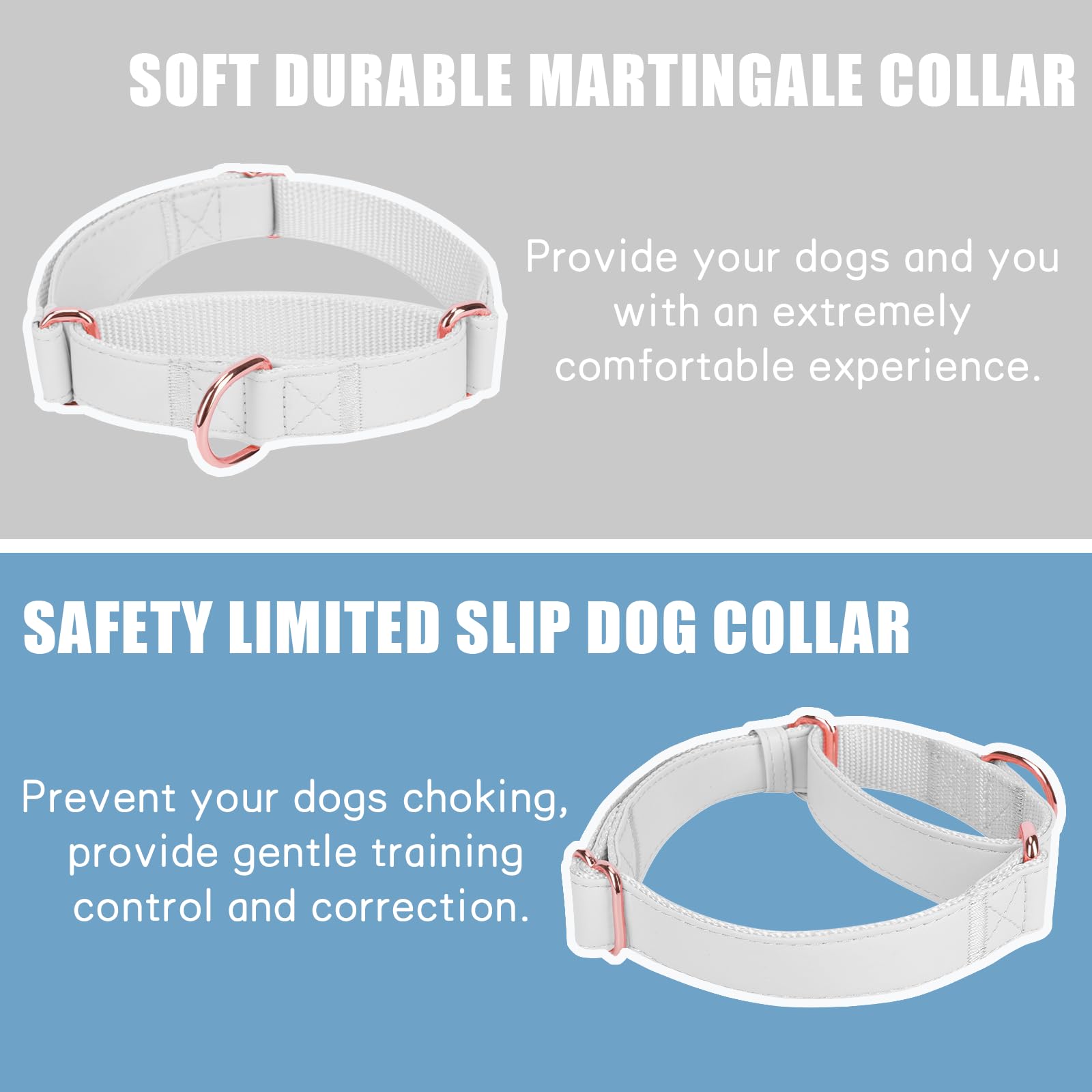 AaufiLux two-loop no-pull training collar demonstrates gentle control during walks.