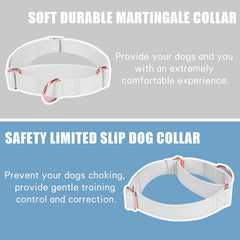 AaufiLux two-loop no-pull training collar demonstrates gentle control during walks.