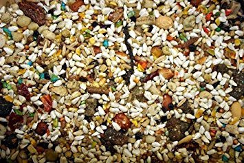 ABBA 1300 Large Hookbill Bird Food serving bowl—easy portioning for cockatiels to cockatoos.