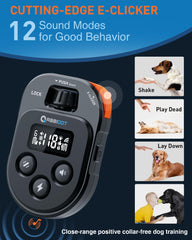 ABBIDOT nylon collar with adjustable neck size fits dogs from small to large