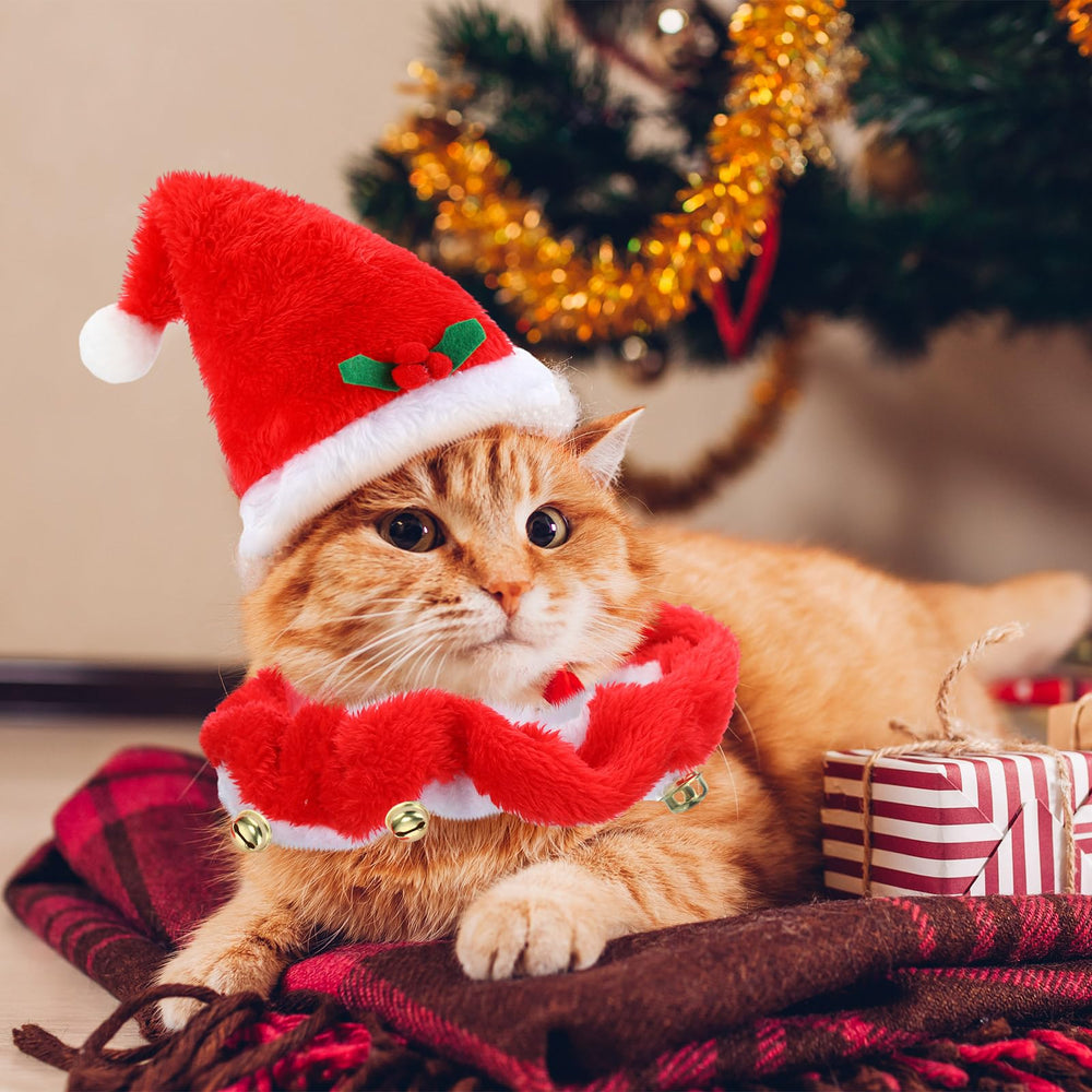 Abbylike cat tutu costume creates adorable holiday looks