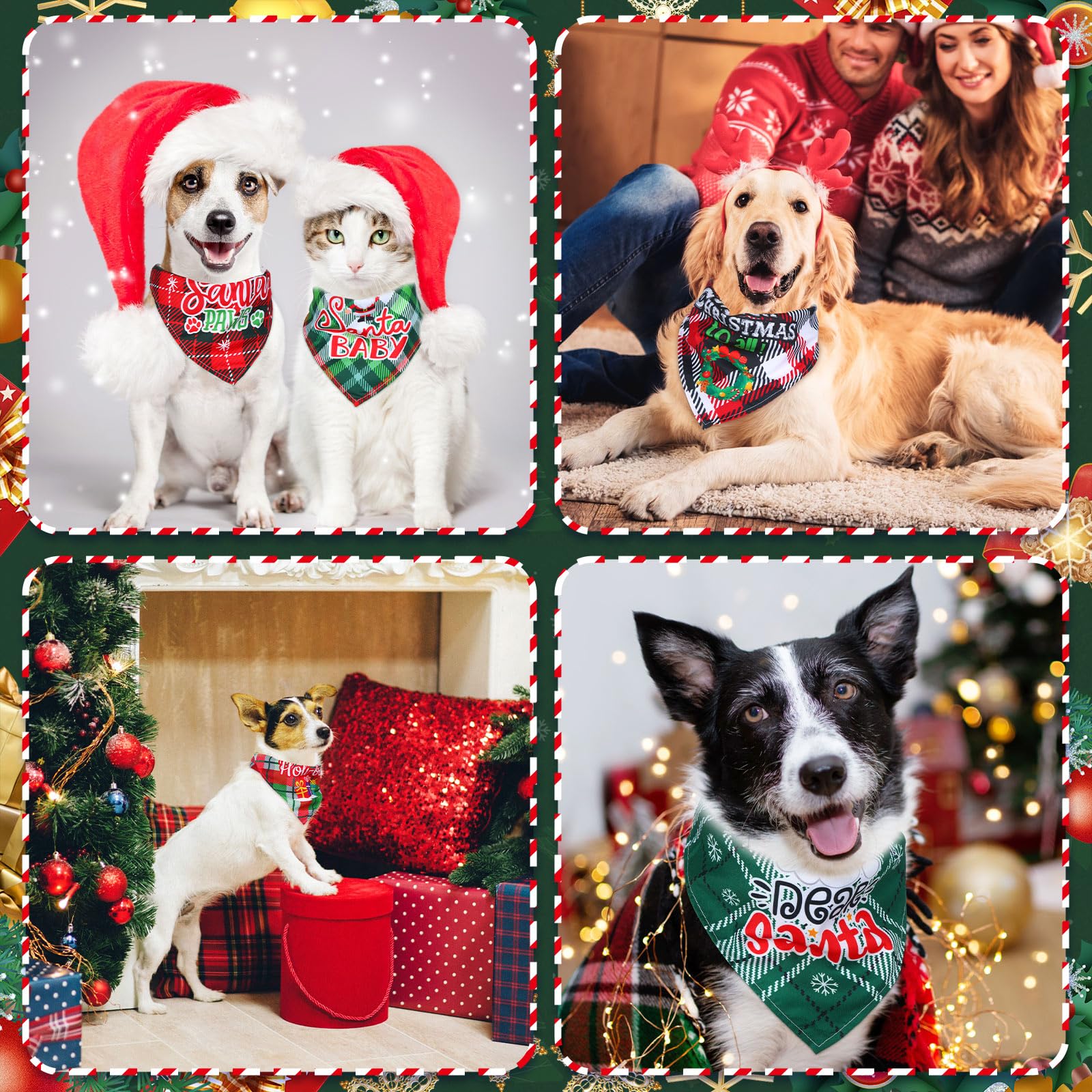 Abbylike photo-ready plaid bandana enhances holiday looks on pets.